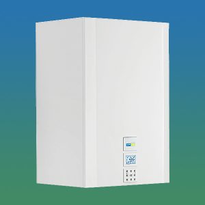 EVODENS MAX HE 25 S