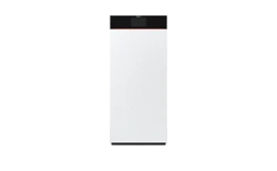 VITODENSN 111-F B1TF 32 KW