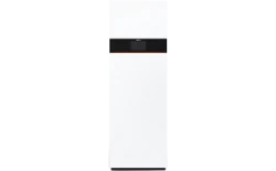 VITODENS 242-F B2UF 25 KW